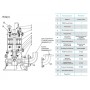 Насос канализационный CNP 100WQ100-30-15AC(I) 15кВт 3х380В чугунный с автоматической трубной муфтой DN 100 кабель 9м 40гр.